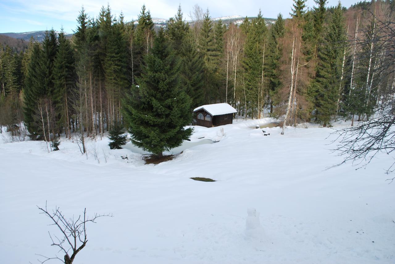 Ferienhaus "Lisa'S Haeusl" นอยเชอเนา ภายนอก รูปภาพ